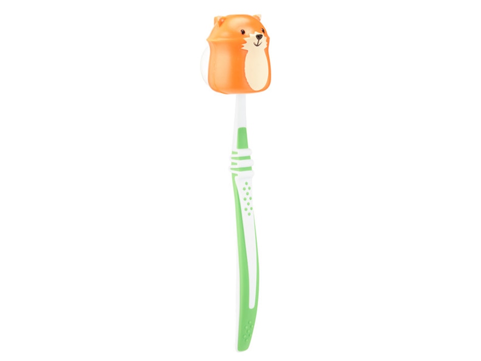Cepillero de dientes 13